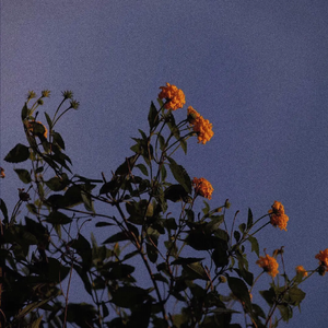 亚洲中文字幕一二三四区
